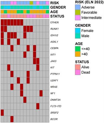 Anti-PD-1 combined with hypomethylating agent and CAG regimen bridging to allogeneic hematopoietic stem cell transplantation: a novel strategy for relapsed/refractory acute myeloid leukemia